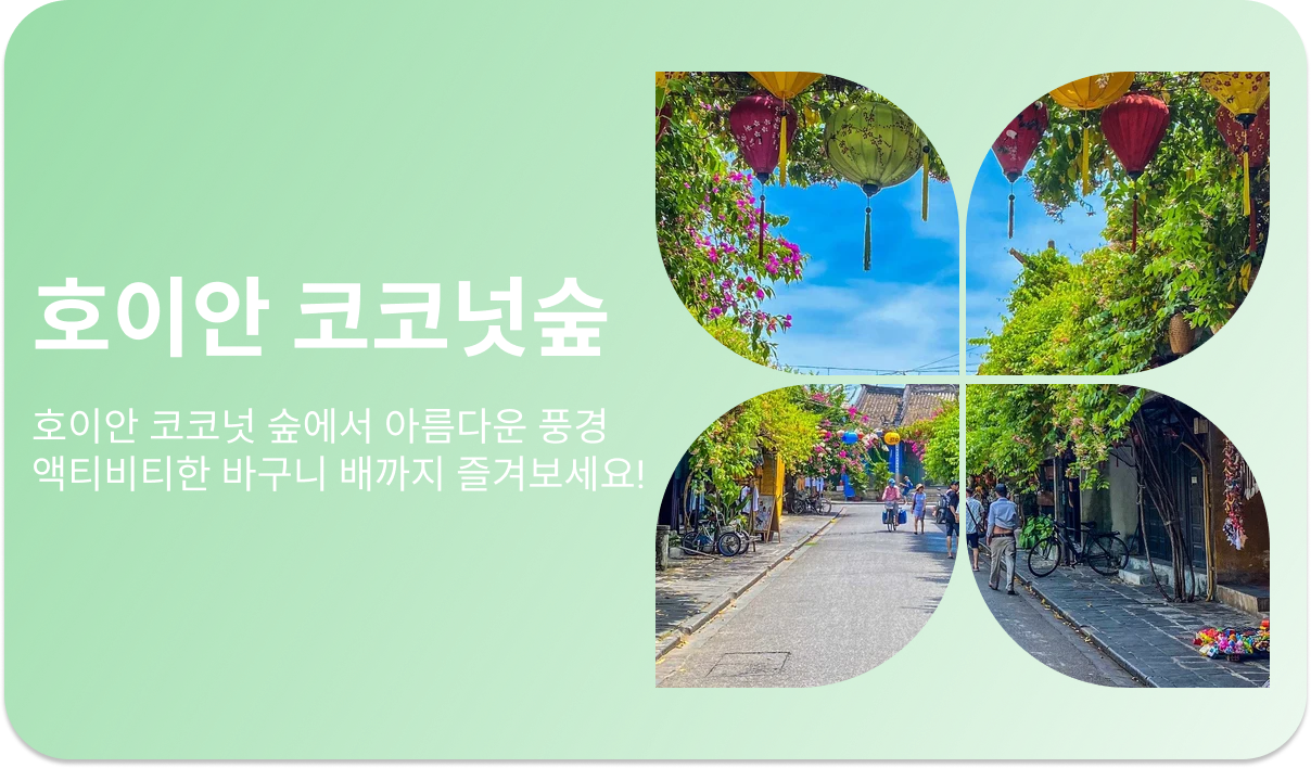 호이안 코코넛숲