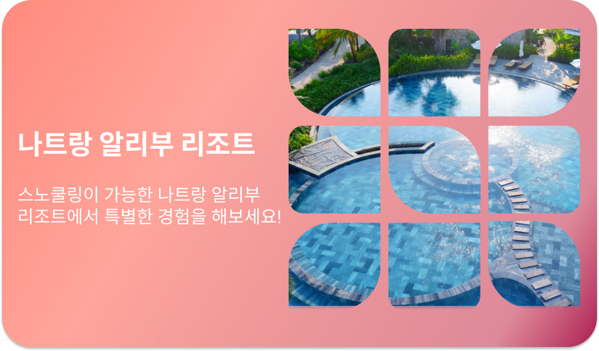 나트랑 알리부 리조트