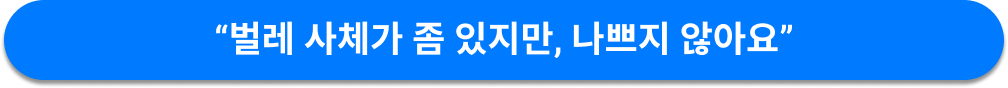 나트랑 아나 만다라 깜란 후기