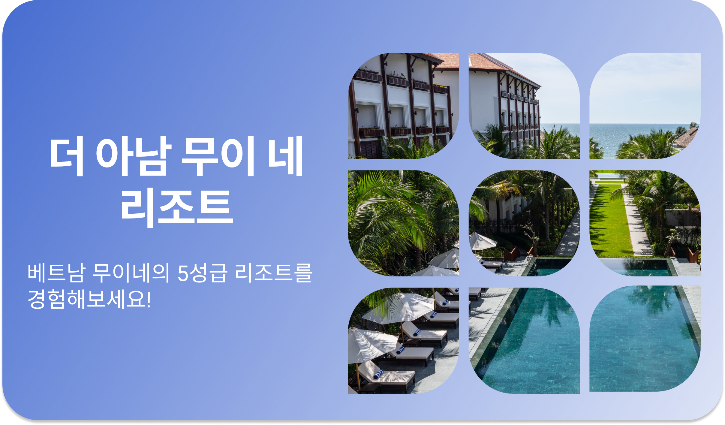 더 아남 무이네