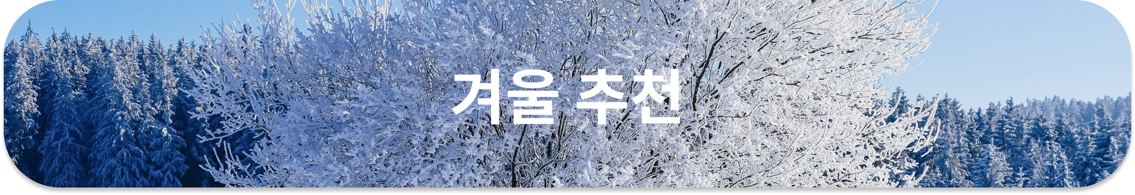 겨울