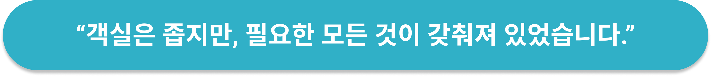 프린스 스마트 인 하카타 한국인 후기