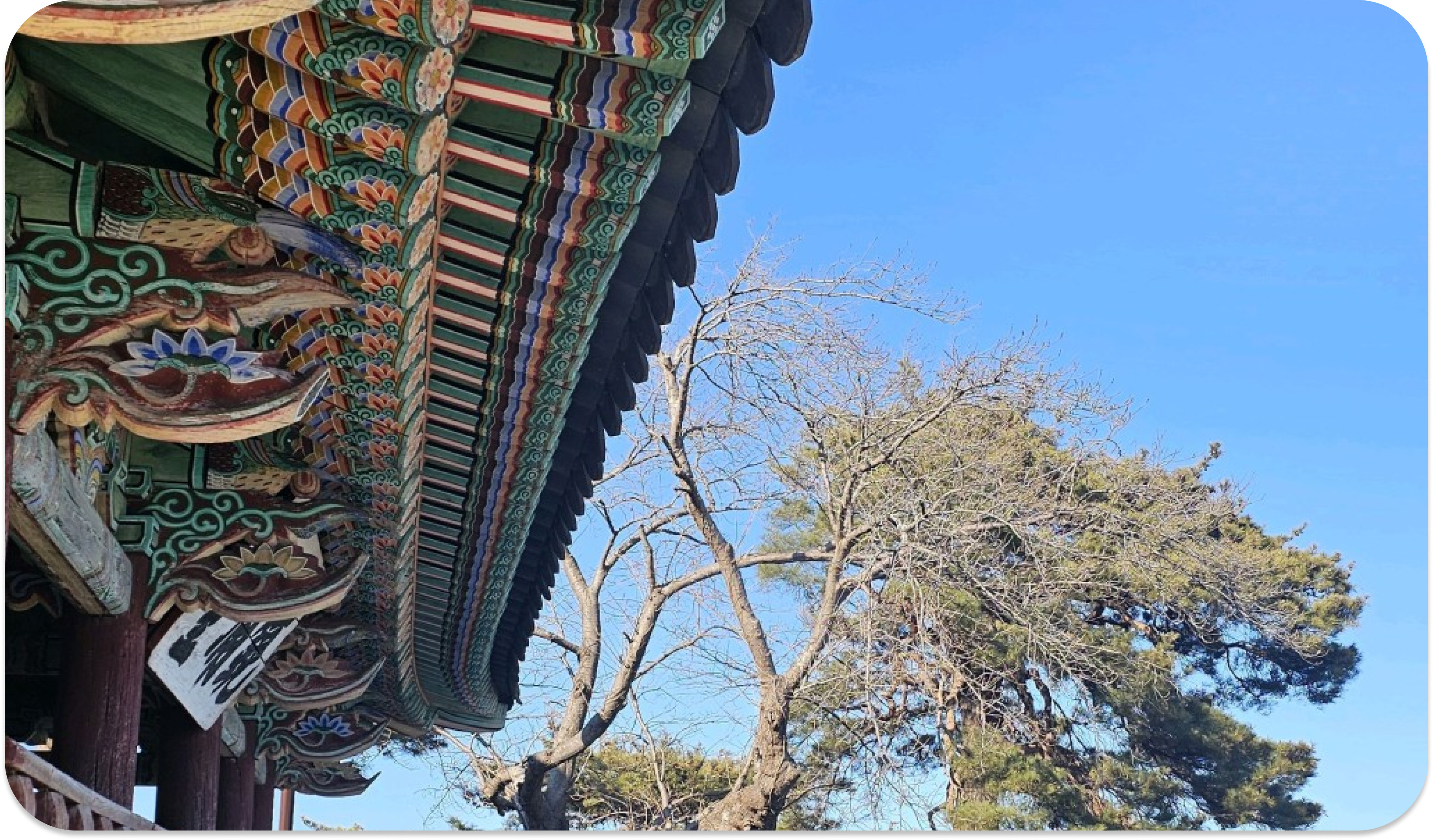 경포호 & 경포대