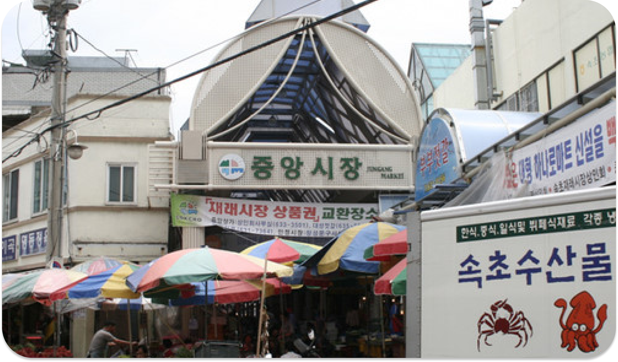 속초 관광수산시장 & 아바이마을