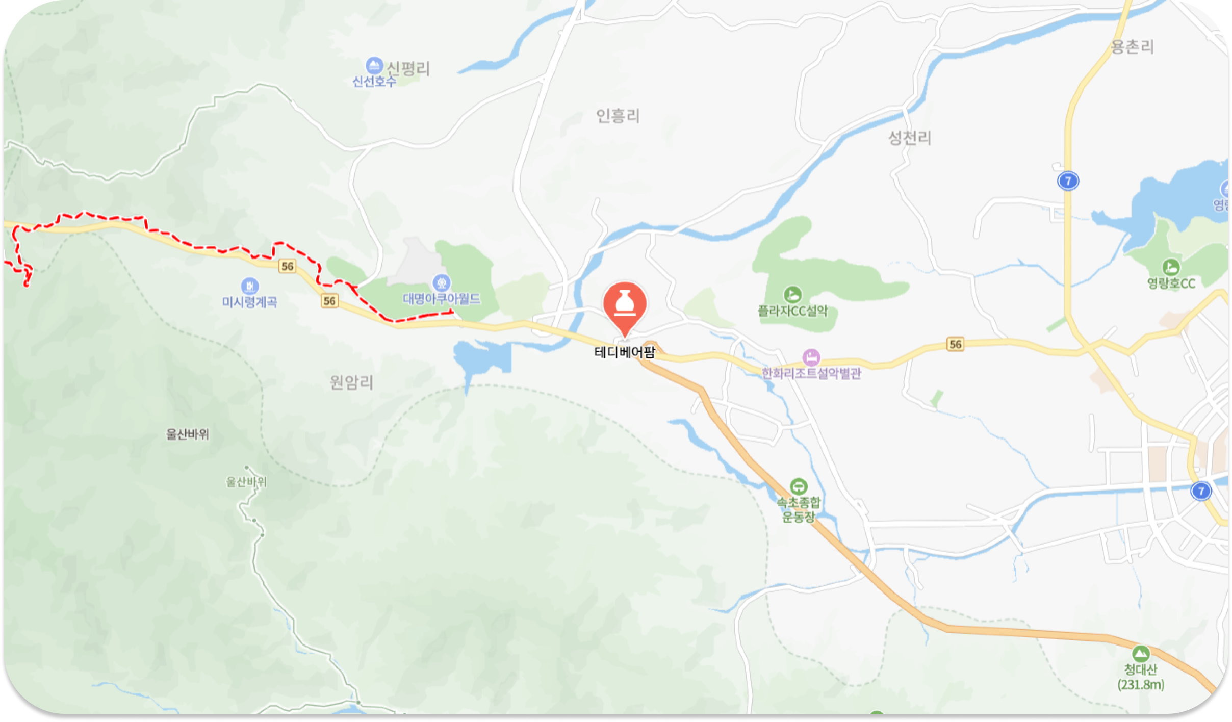 테디베어 팜