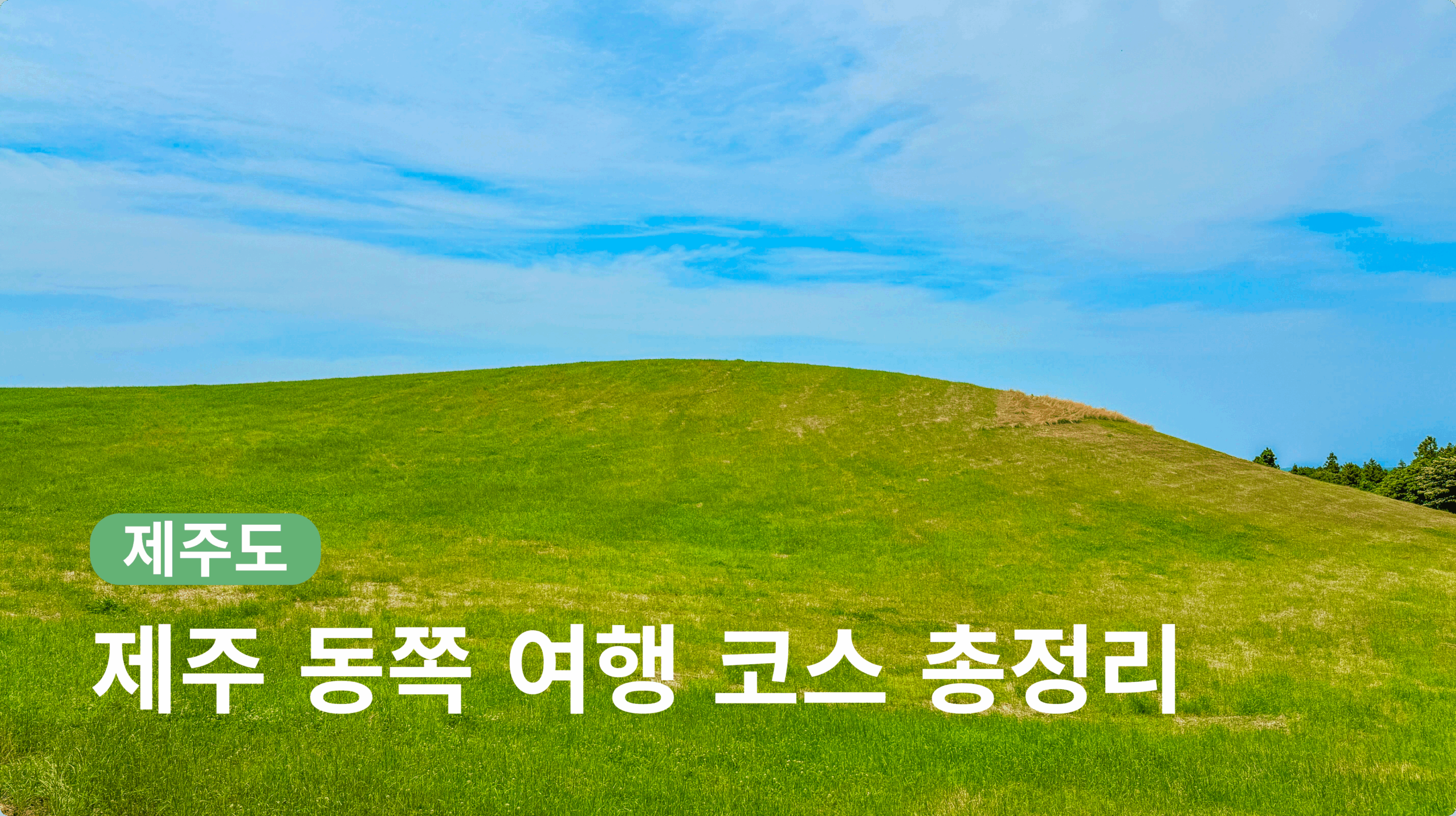 제주 동쪽 여행 코스 총정리
