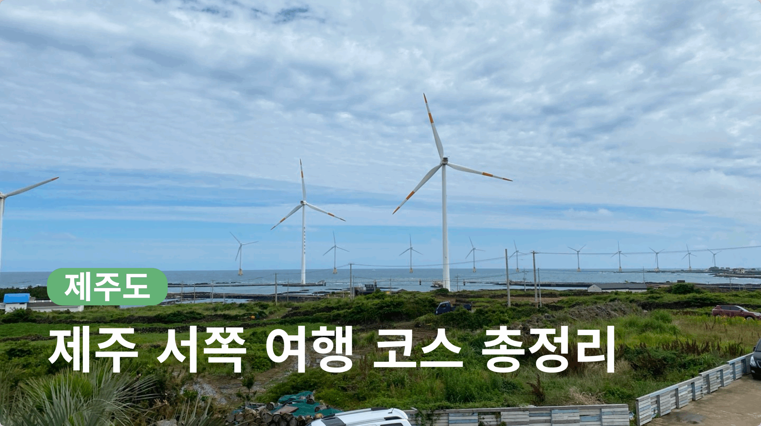 제주 서쪽 여행 코스 | 여행 카페 수국 오름 갈치조림 숙소 맛집